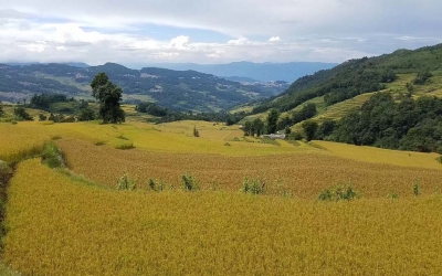 3-Day Jianshui and Yuanyang Hani Rice Terraces Group Tour