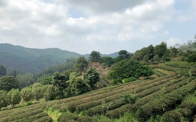 2-Day Meizhou Hakka Heritage Trip from Guangzhou by Fast Train